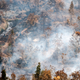 Firefighters stand amid burning trees in Central Kalimantan, Indonesia, on September 18, 2019.